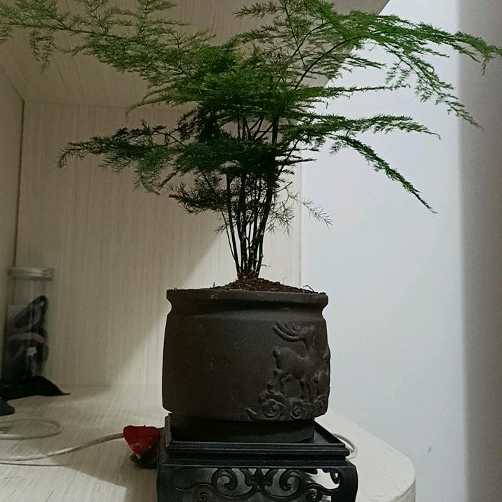 低调对的