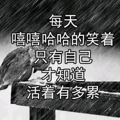 友情岁月哥