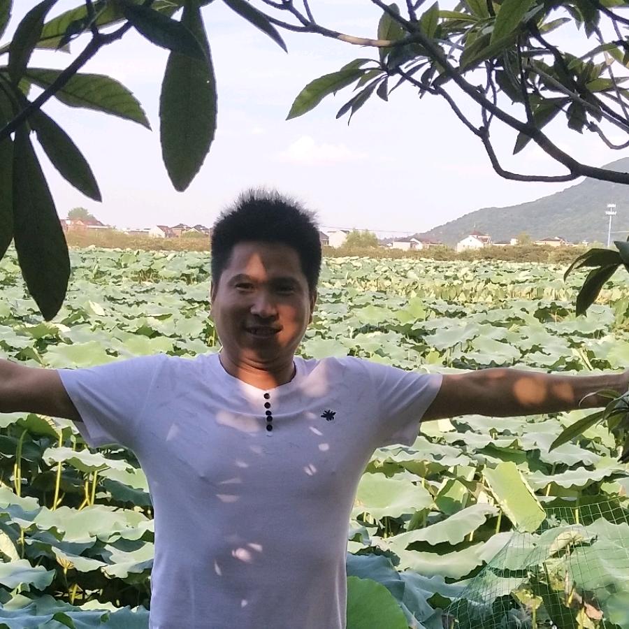 许愿东