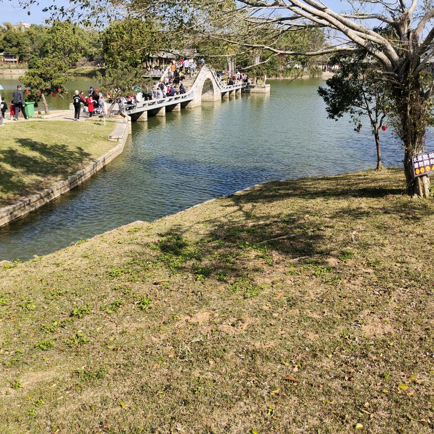 杨景朝
