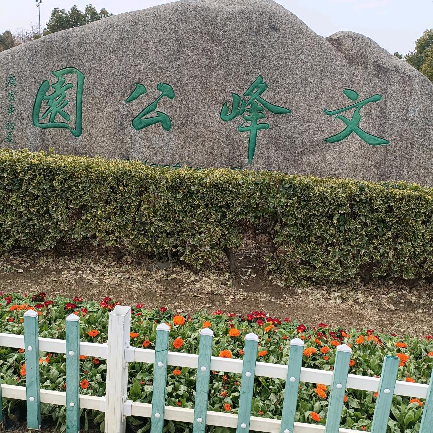 凤姐