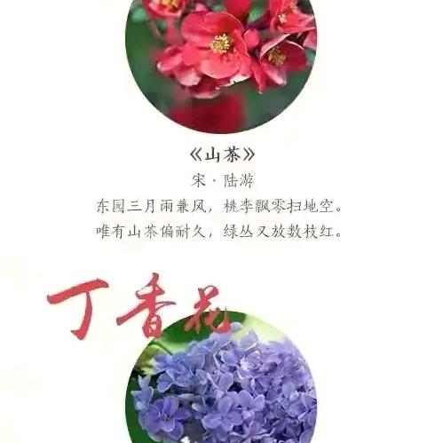 七
