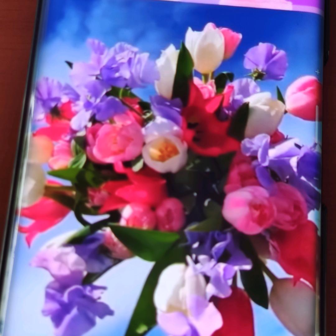 姚4系