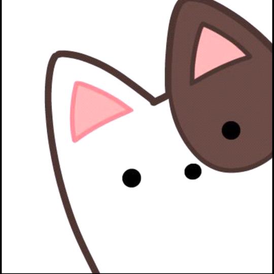 一窝肥肥