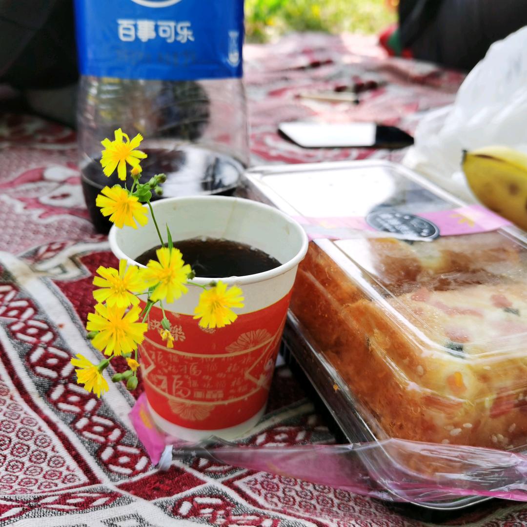 @认真生活的老王