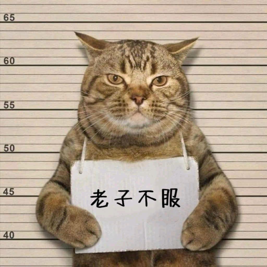 烽 火 戏诸侯！