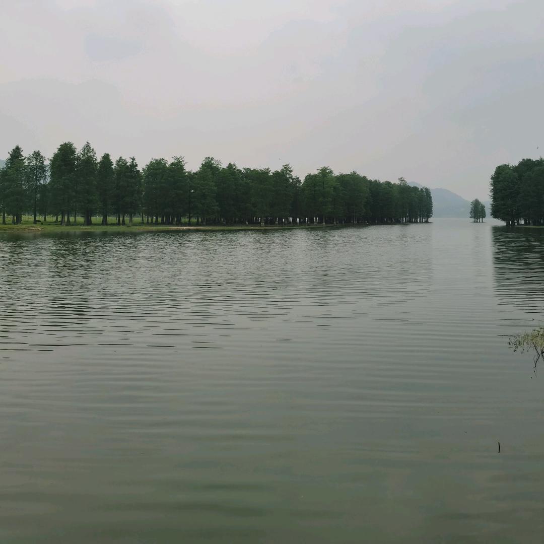 丰1