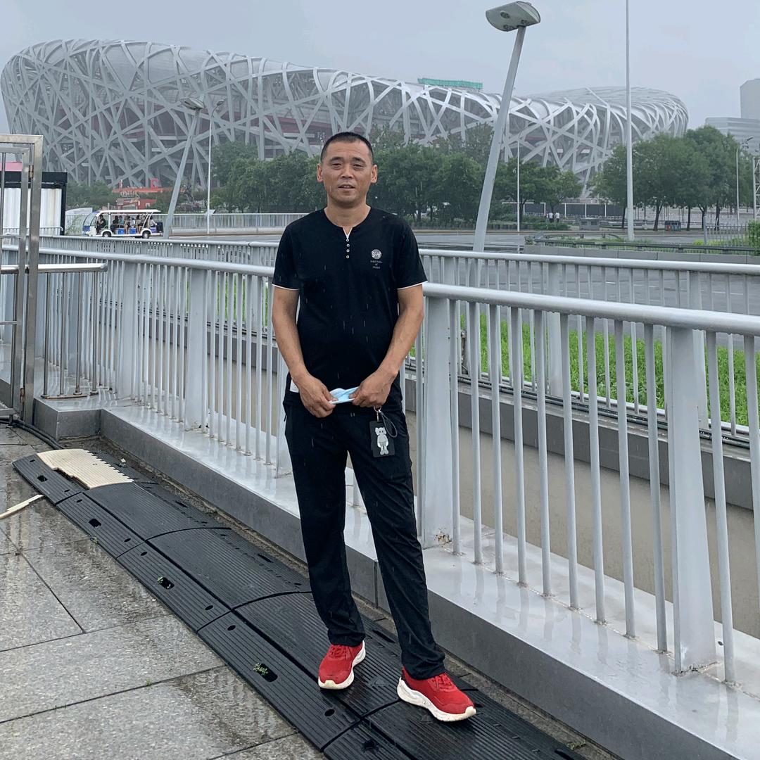 双龙双凤