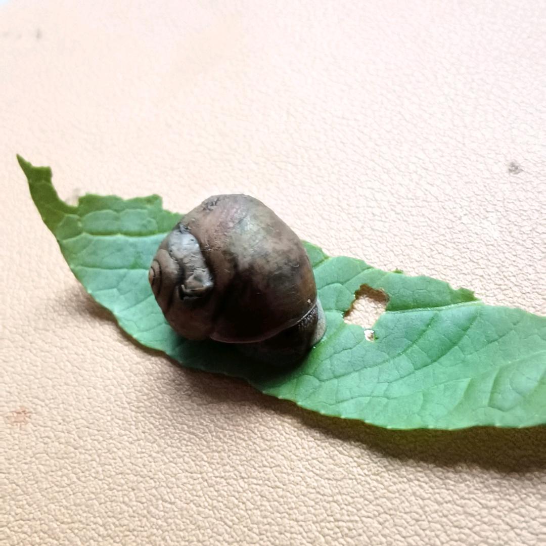 张宽爸爸
