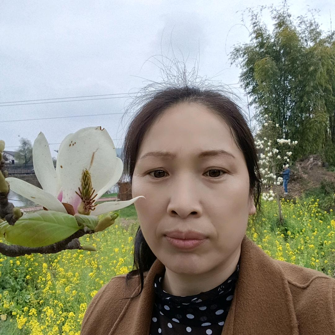 爱吃竽头的天鹅