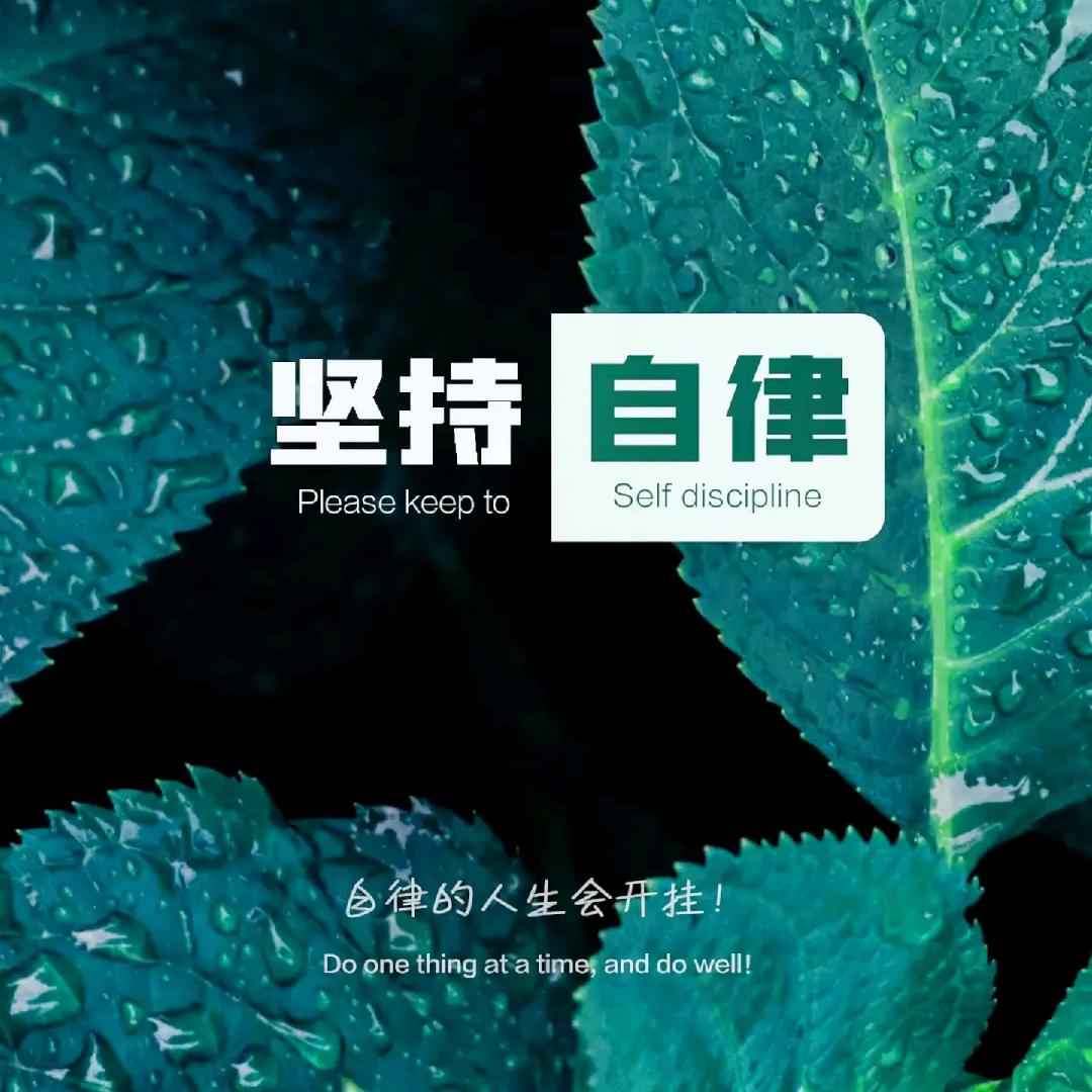 我们的口号是？头像