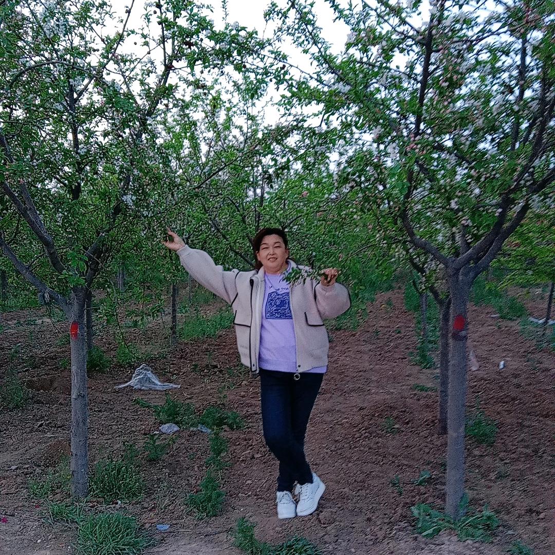菠萝蜜🍍X