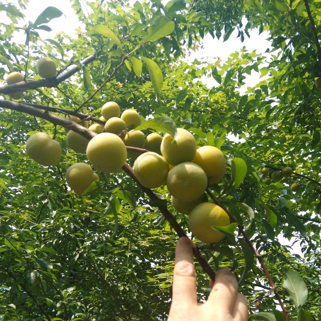 一起走