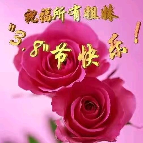 七七格