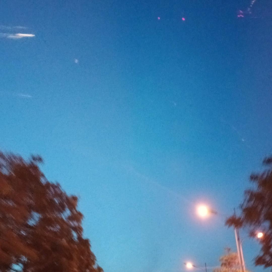 琵琶语