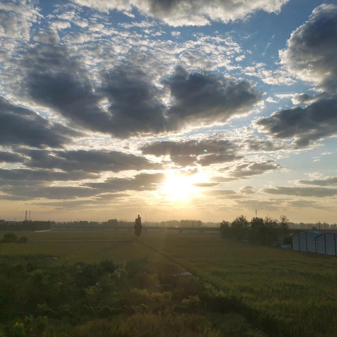 人生若只如初见