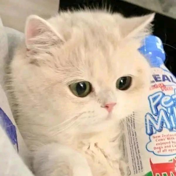 💰এ᭄多财多亿ഒᩚ࿐