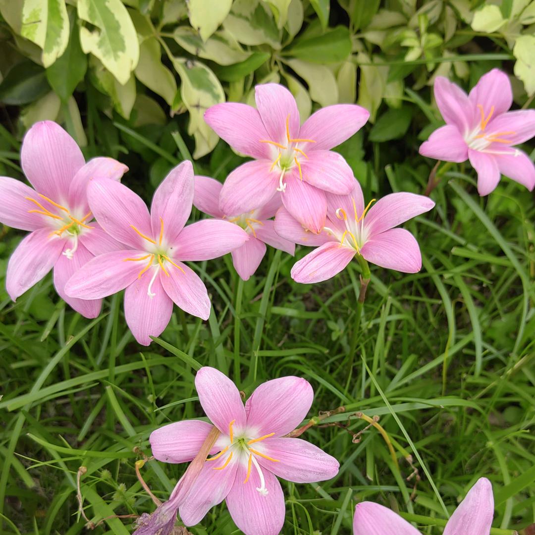 努力活成自己想要的生活