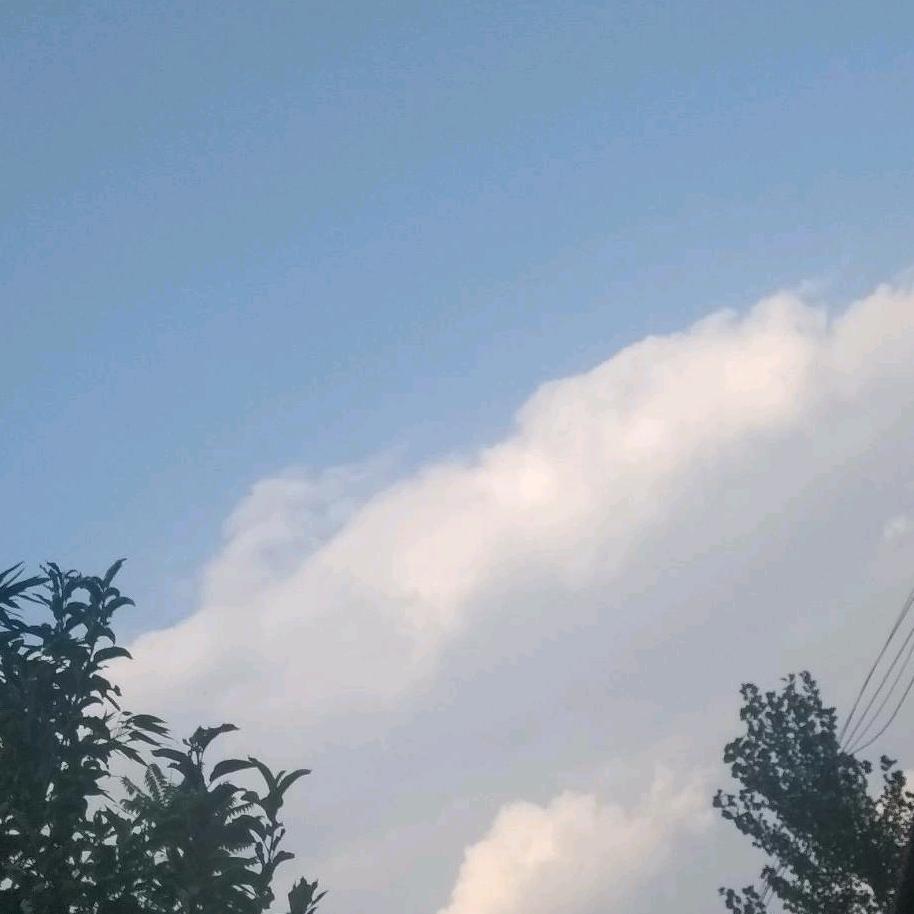 冀小刚