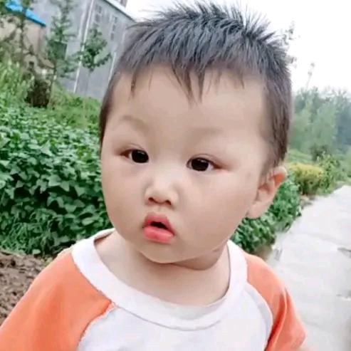 顺其自然