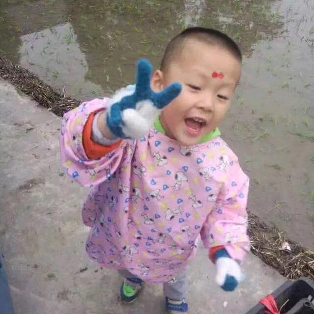飞