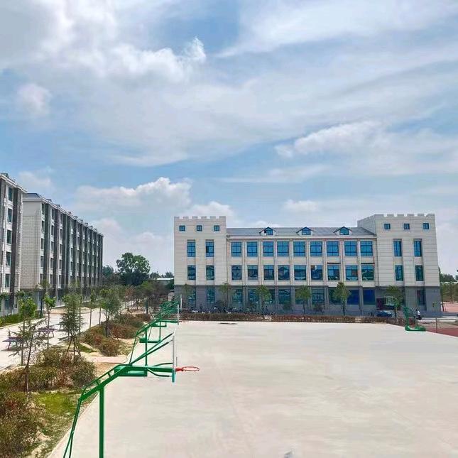 河南中高考升学指导 王老师（咨询看主页）