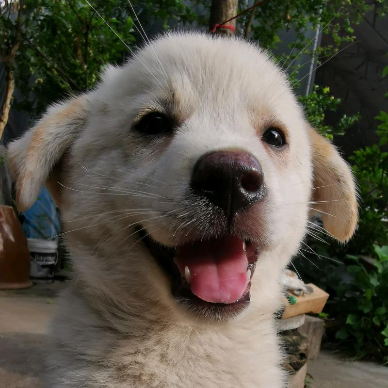 智造者-创新技术社区