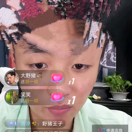 秃头大野猪殿下