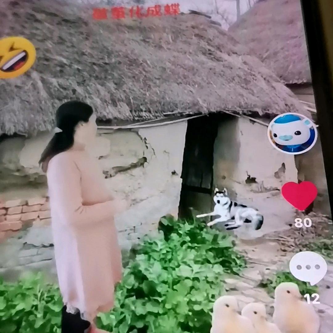 汪诗诗