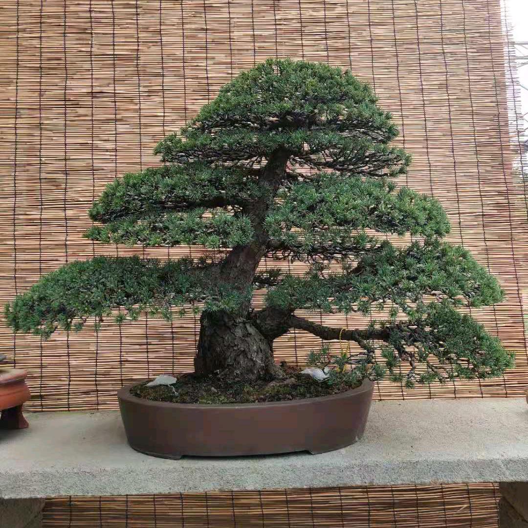 陆氏园林