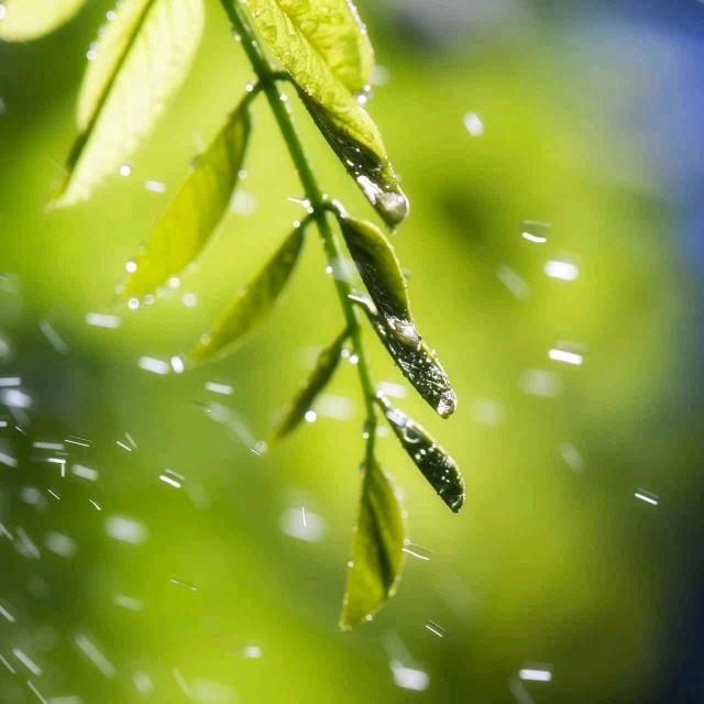 淮安东大街贝尔