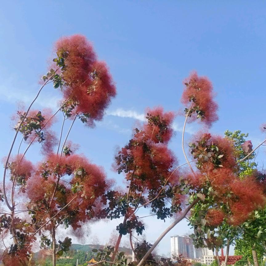山水间🌳🏌️