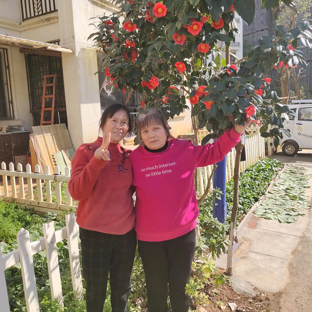 丁水英五七年🍎🍎💐💐🌹🌹