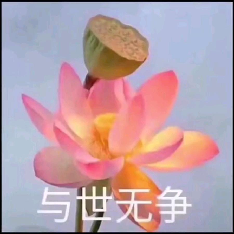 用户名72414762头像
