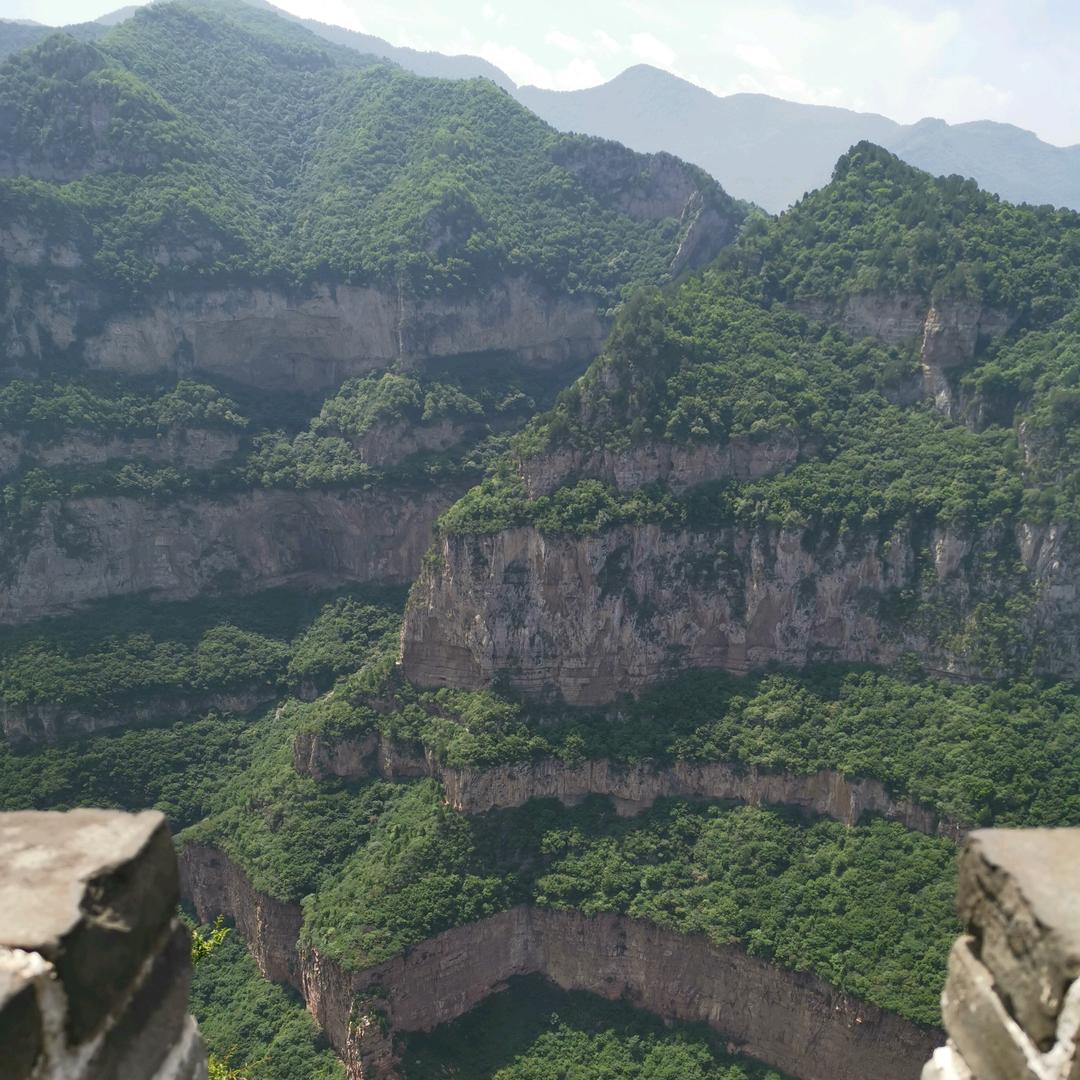 鲍伟龙