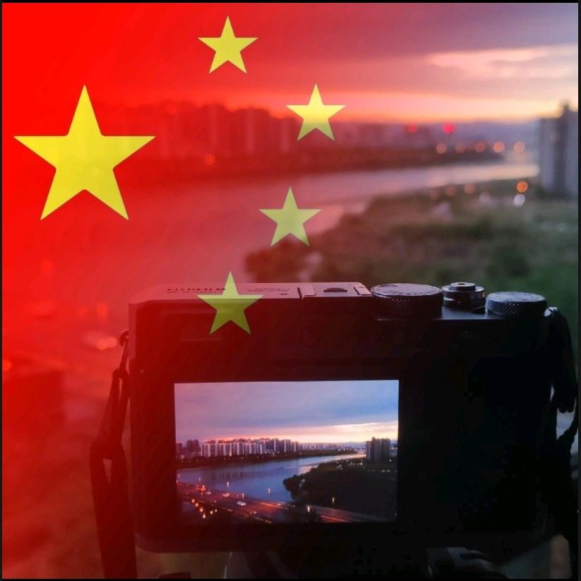 一根老莴笋