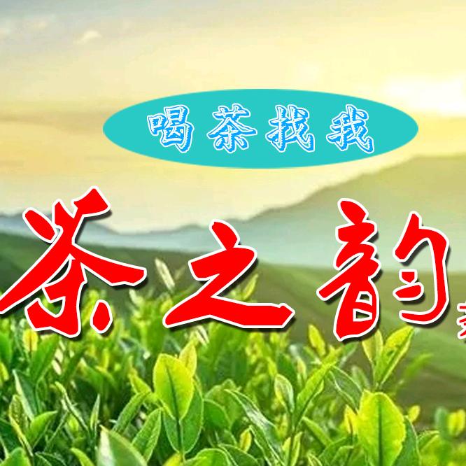 日照绿茶~茶之韵