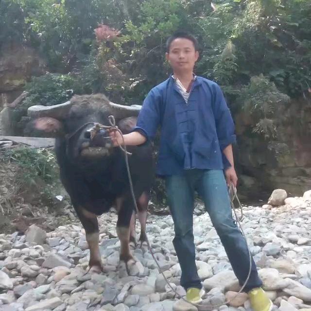 无药可救