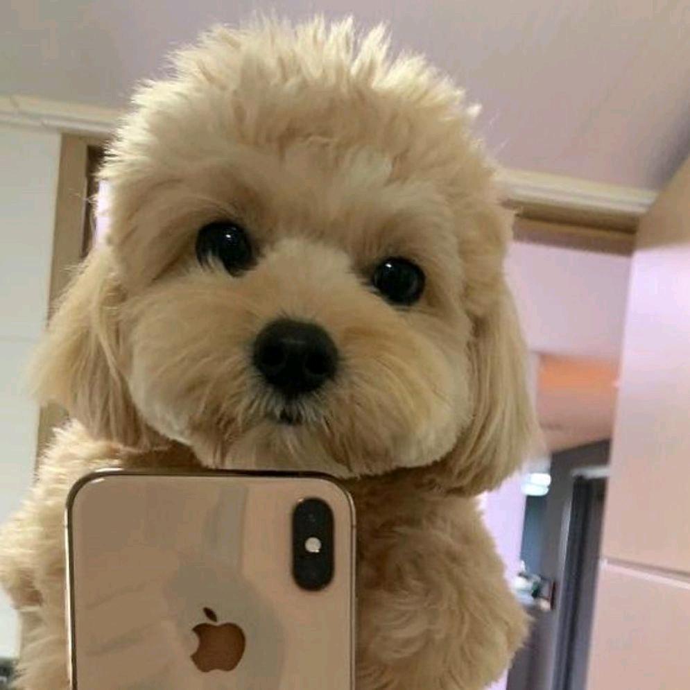 狲越