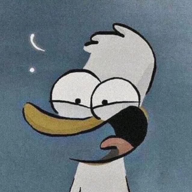 🌈理性认识一下💨