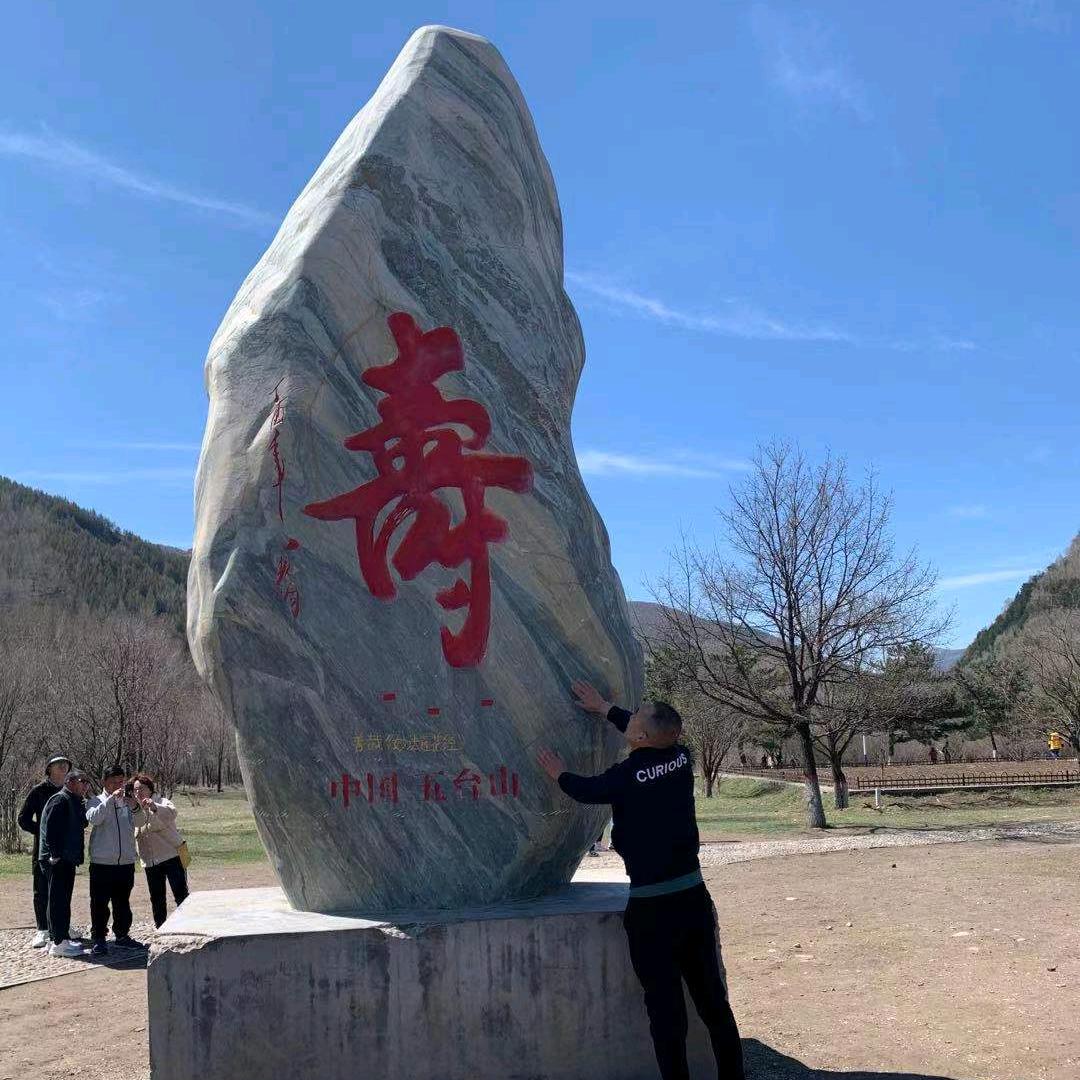 蚂蚁啃大象