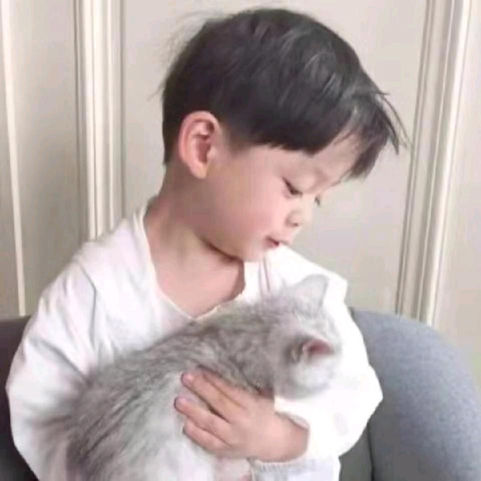 🌈维维尼头像