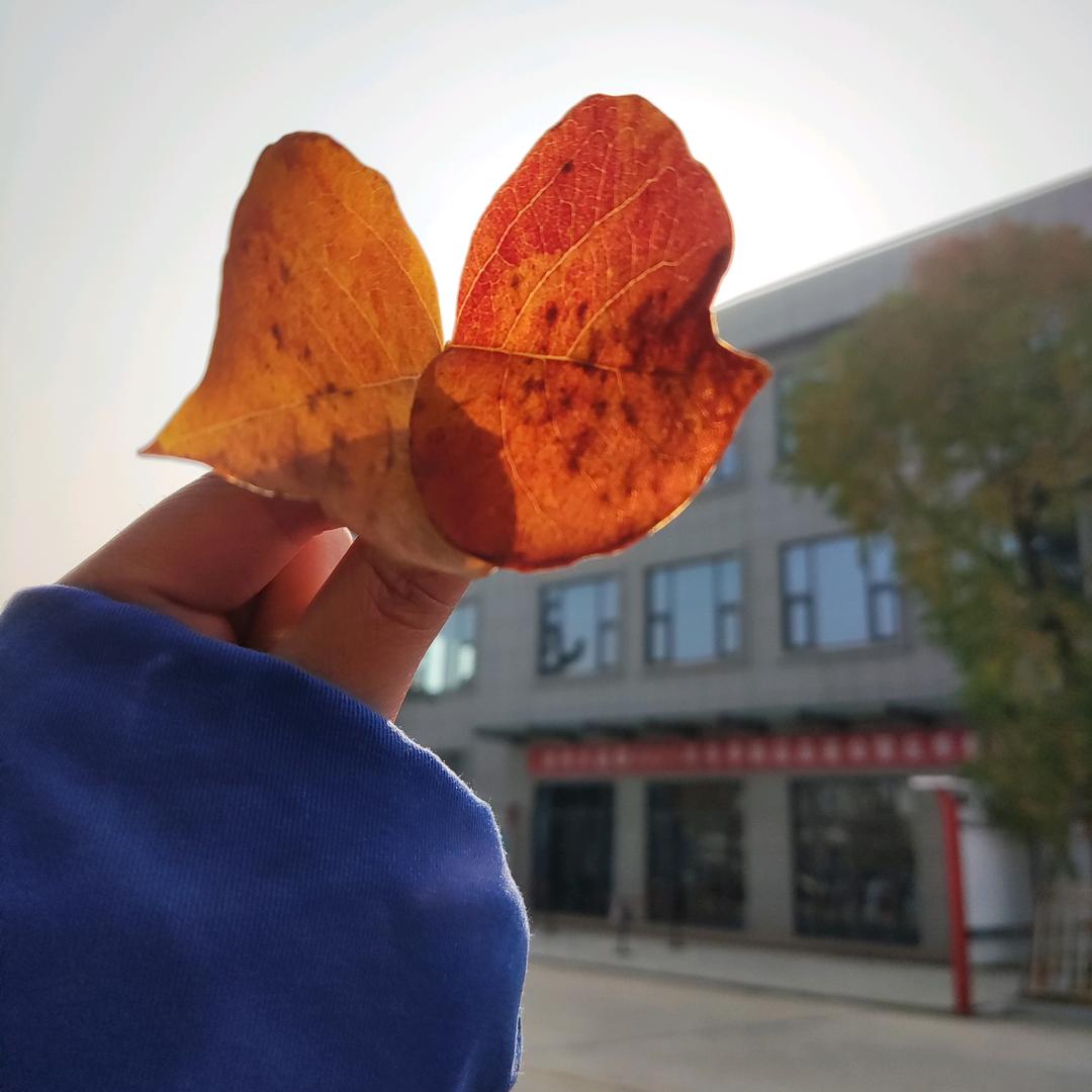 七秒的记忆--于