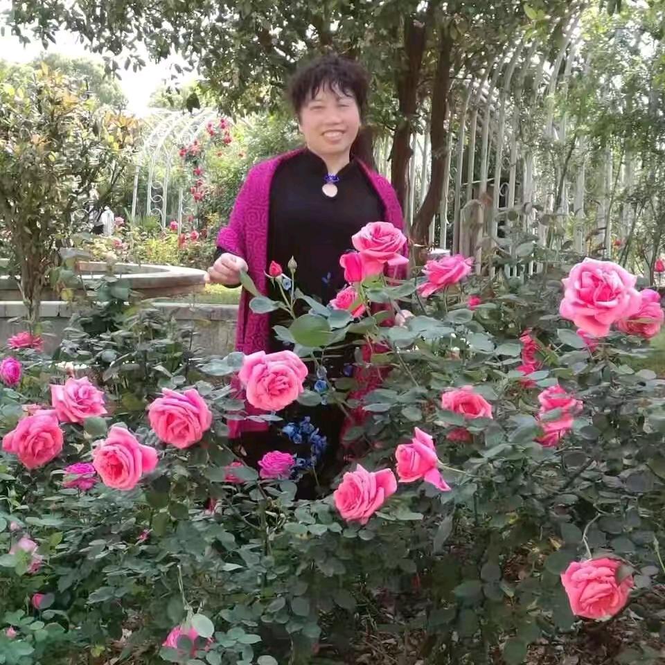 美丽秋子