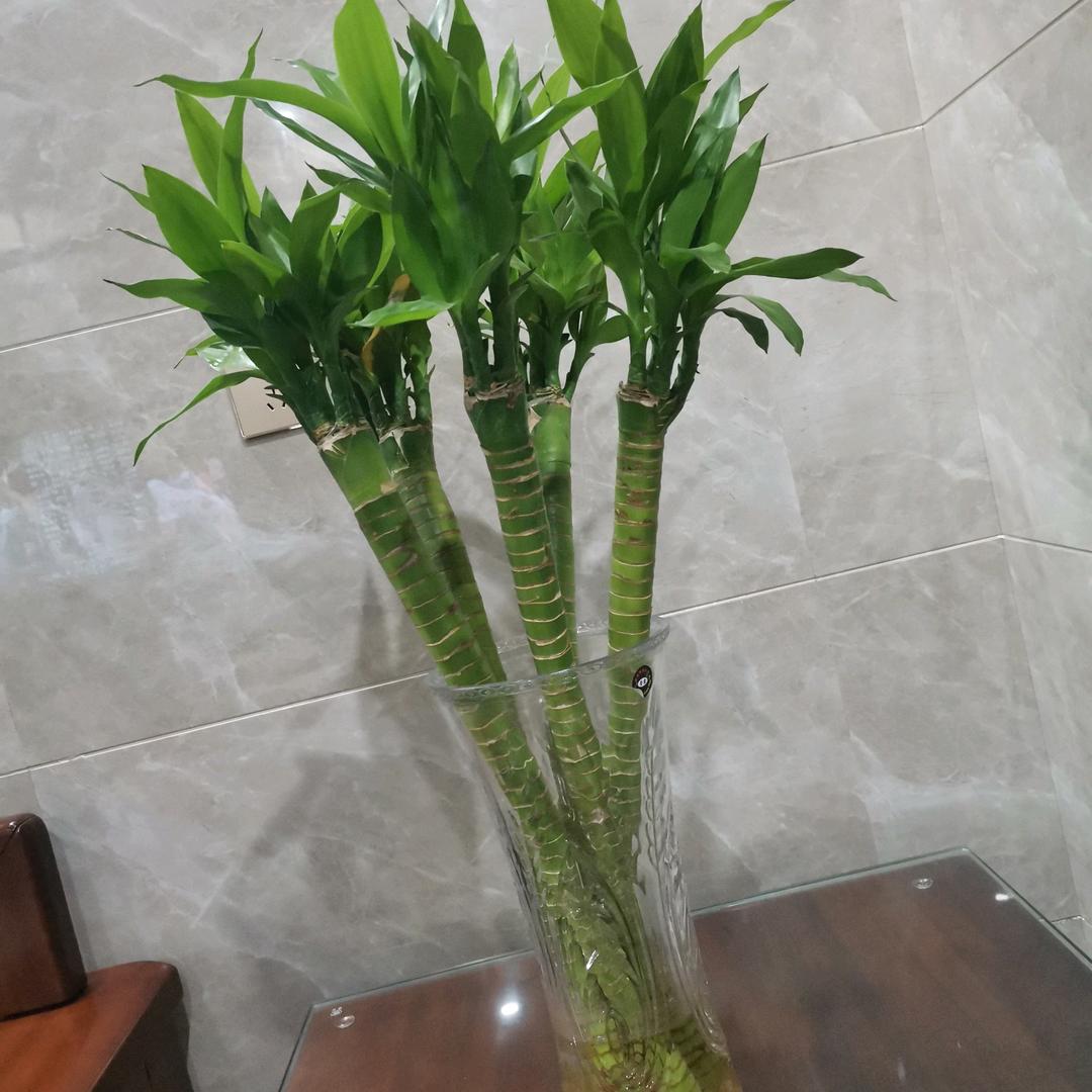 思