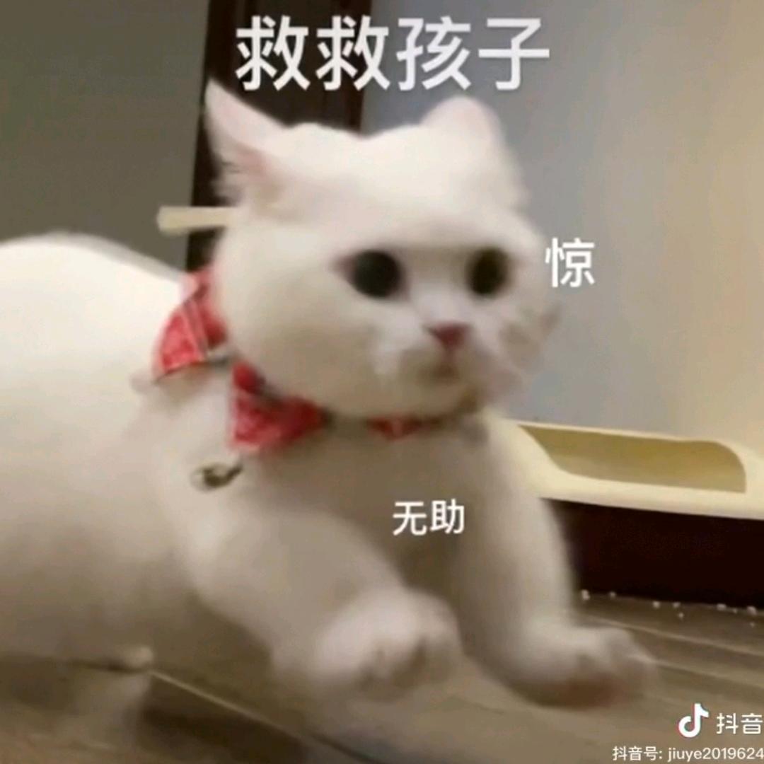 冰殇