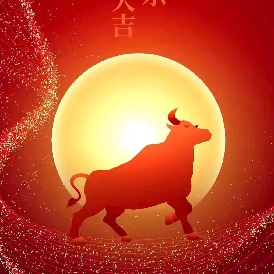 紫色薰衣草💃