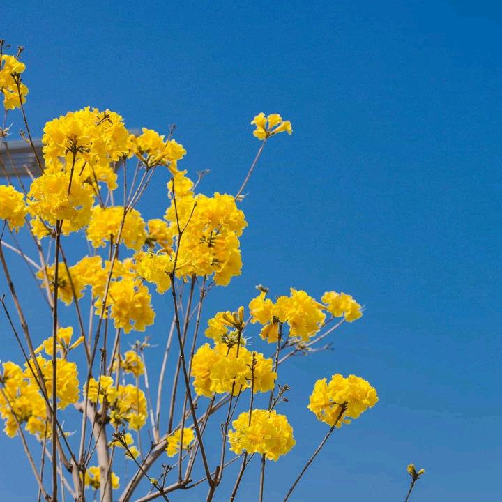 听泉