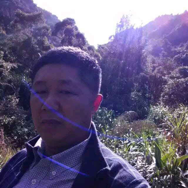 颍上吴氏三哥