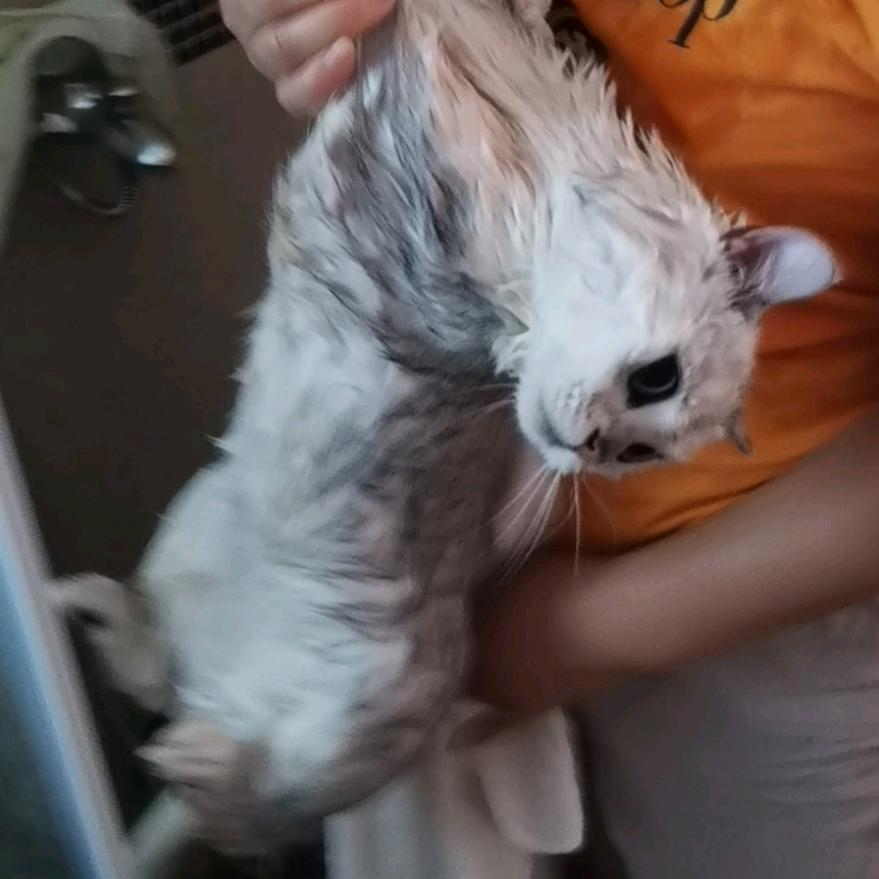 阿毛宅家快乐屋